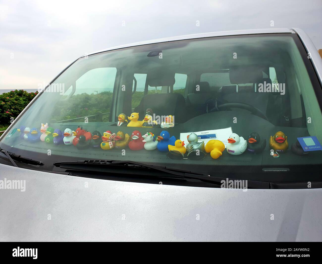 Anatre di gomma in un automobile, Germania Foto Stock