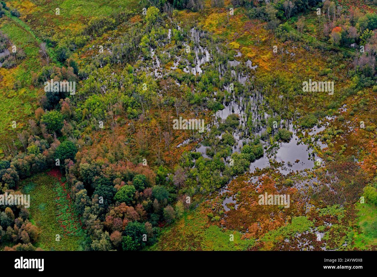 Riumettazione di Moor Dosenmoor, Einfelder Moor, vista aerea, Germania, Schleswig-Holstein Foto Stock