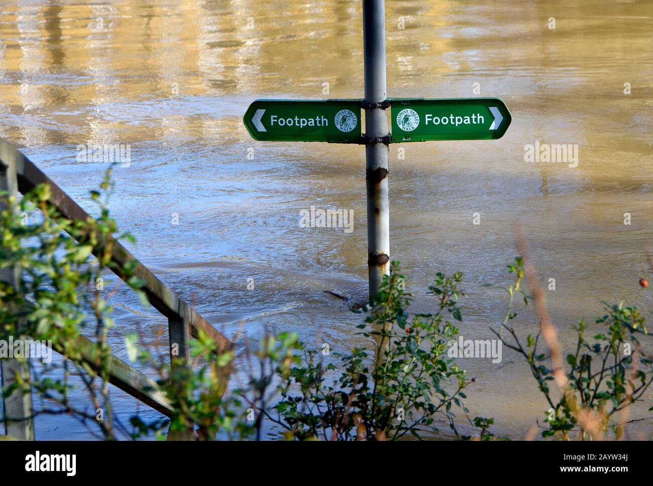 Maidstone, Kent, Regno Unito. 17th Feb, 2020. Cielo blu e inondazioni nel centro di Maidstone dopo un'altra notte di vento e pioggia pesante. Riverside sentiero sommerso credito: PjrFoto/Alamy Live News Foto Stock