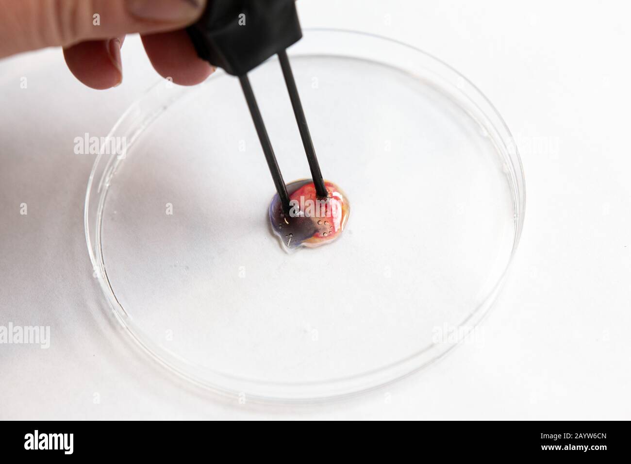 elettrolisi su microscala del cloruro di sodio Foto Stock
