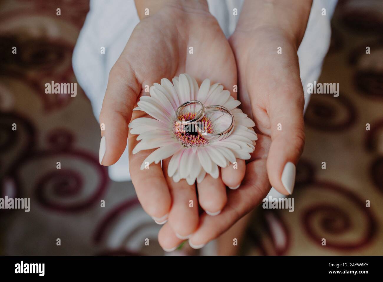 Accessori nuziali. Gli anelli di nozze su fiore bello in donna mani dolci al coperto. Shot orizzontale. Concetto di festa e celebrazione Foto Stock