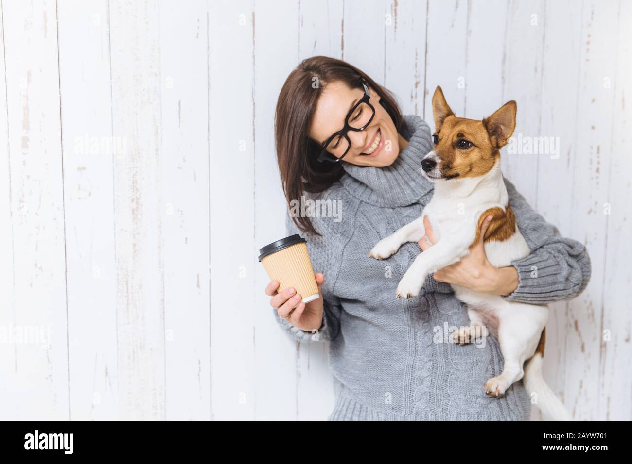 Happy brunette modello femminile indossa maglione caldo, bicchieri, porta il suo cane preferito e il caffè da asporto, andando ad avere camminare insieme, hanno buone Foto Stock