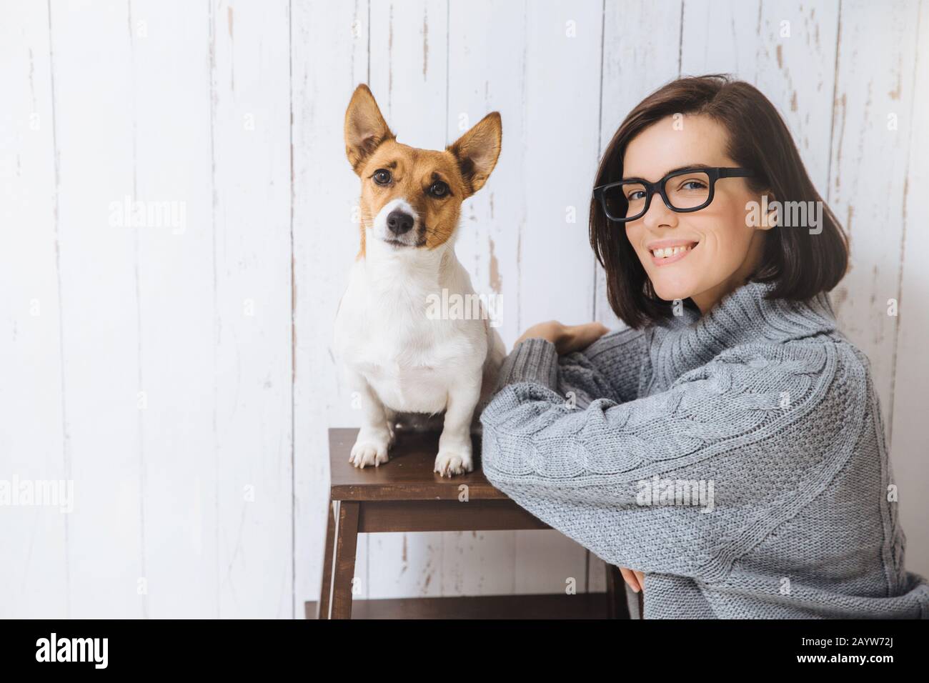 Foto di adorabili lieto soddisfatto donna indossa occhiali e perdere un maglione pesante, sorge vicino al suo cane preferito che siede sulla sedia, guardare fotocamera, goin Foto Stock
