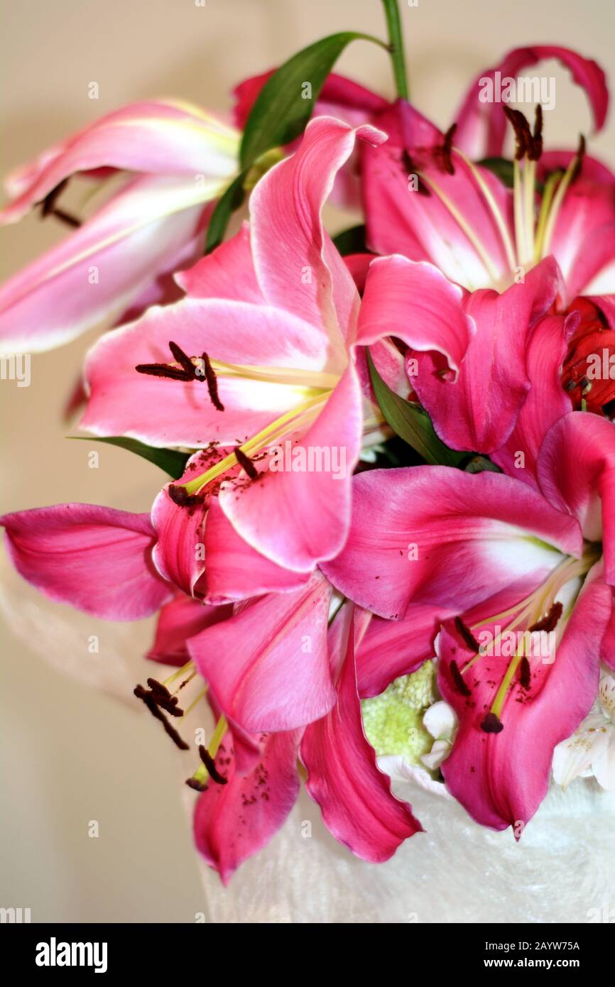 bouquet di fiori, giglio rosa Foto Stock