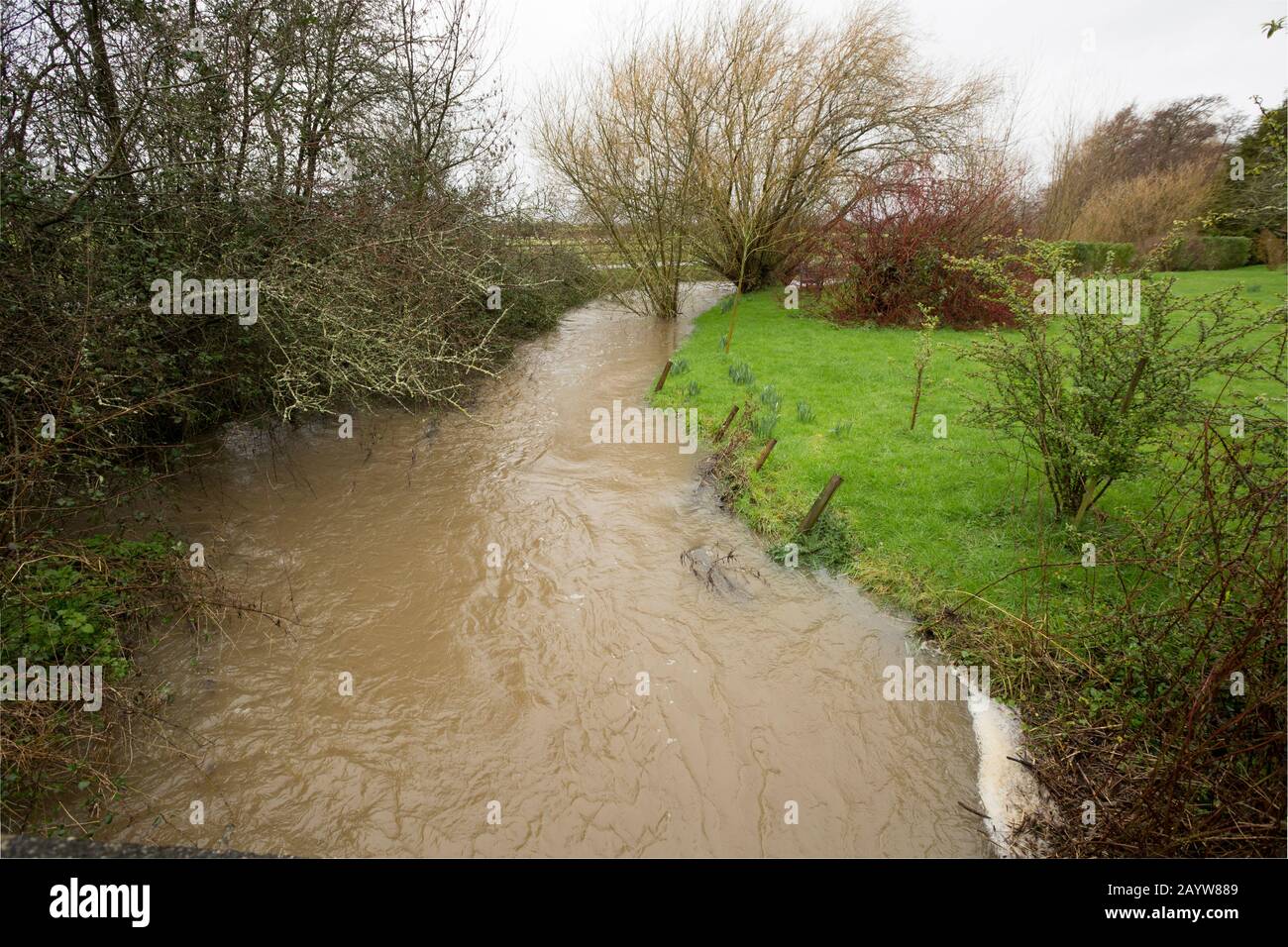 Il Dorset Stour River a Gillingham inondazione accanto ai giardini dopo forti piogge da Storm Dennis. La tempesta è arrivata il 15.02.2020 e ha causato ampio Foto Stock