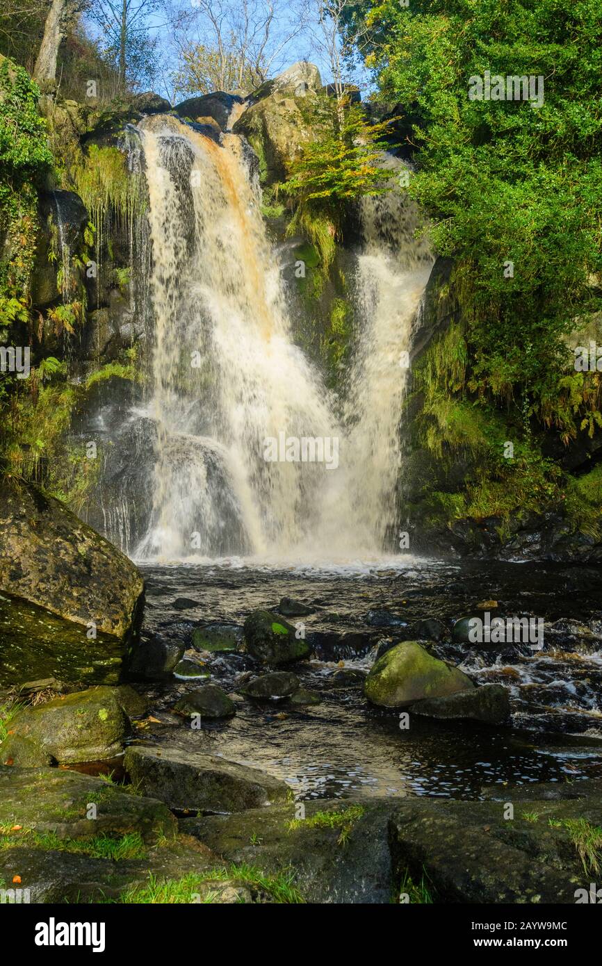 Pittoresca, soleggiata, acqua corrente e rocce di Posforth Gill Force Waterfall, Valle della desolazione, Bolton Abbey Estate, North Yorkshire, Inghilterra, Regno Unito Foto Stock