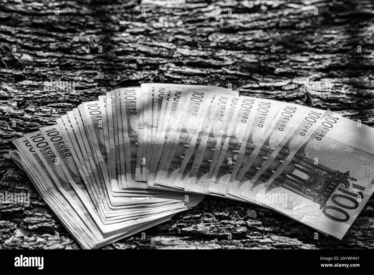100 BANCONOTE IN EURO valuta in euro isolata su tessuto di legno all'aperto alla luce del sole. Concetto di ricchi uomini d'affari, risparmiare o spendere soldi. Foto Stock