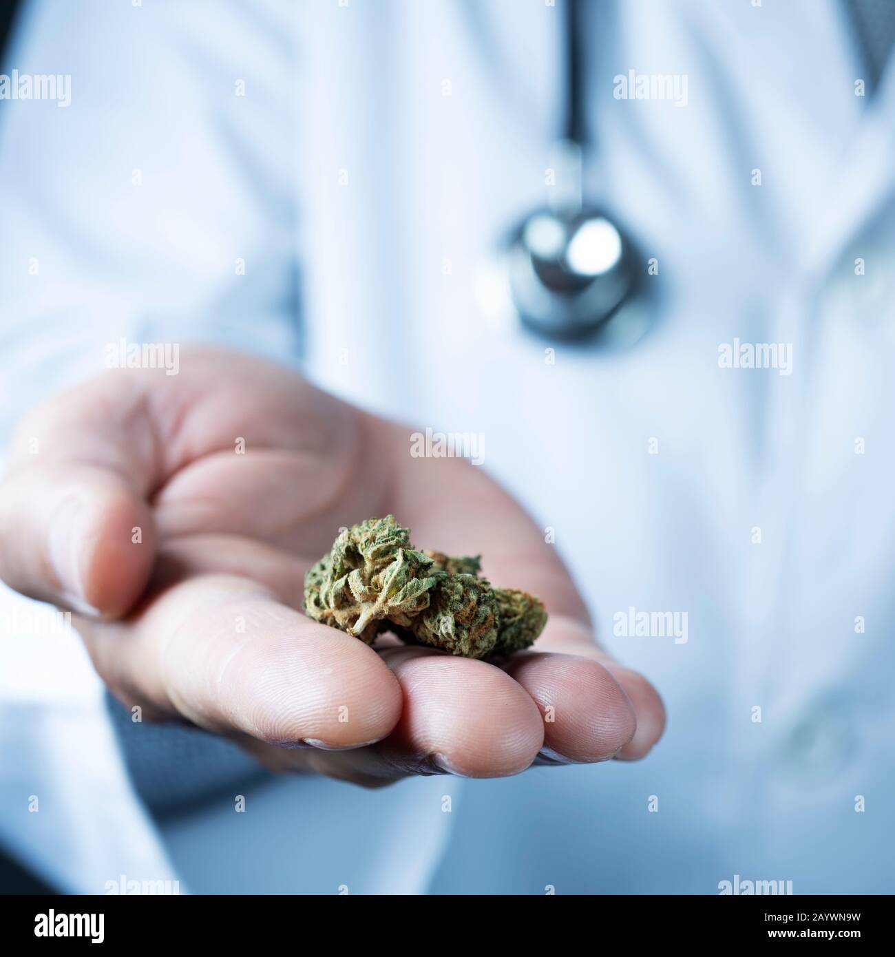 Primo piano di un medico caucasica uomo in camice bianco, con un marihuana bud in mano Foto Stock