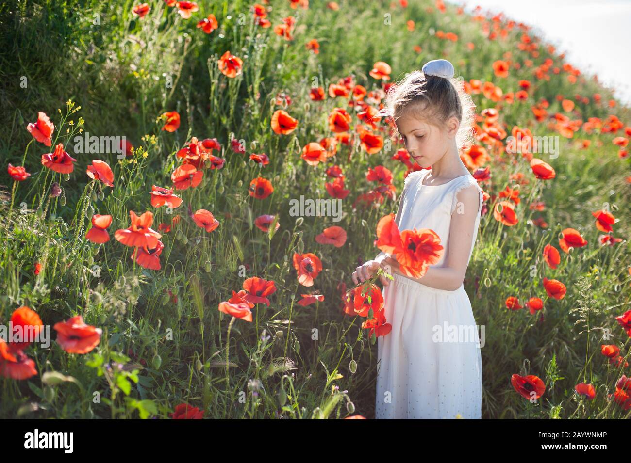 ambiente di primavera concetto di piccola ragazza sottile con papaveri in mani sul campo di fiori Foto Stock