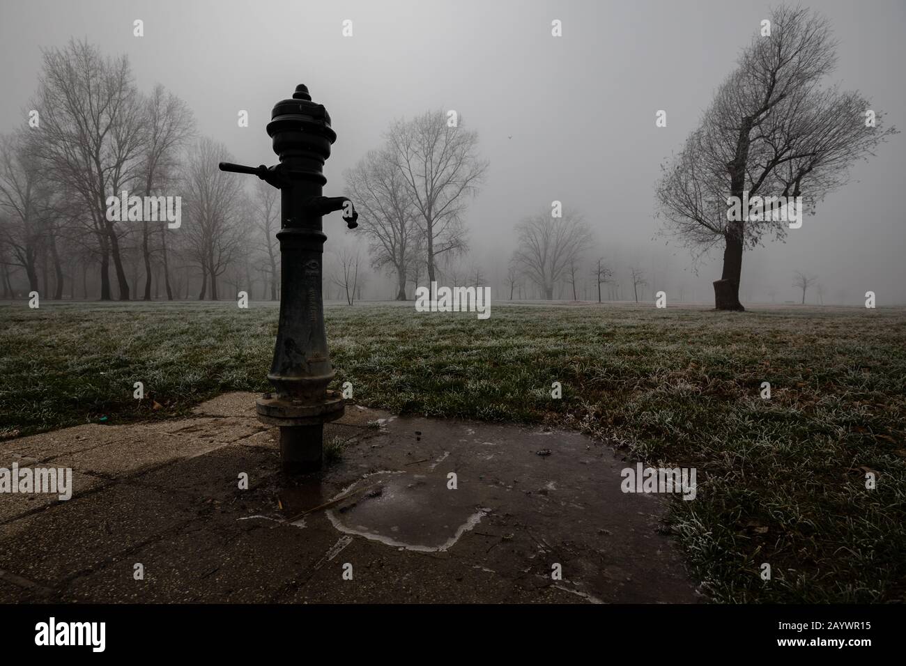 Nebbioso giorno nel parco Foto Stock