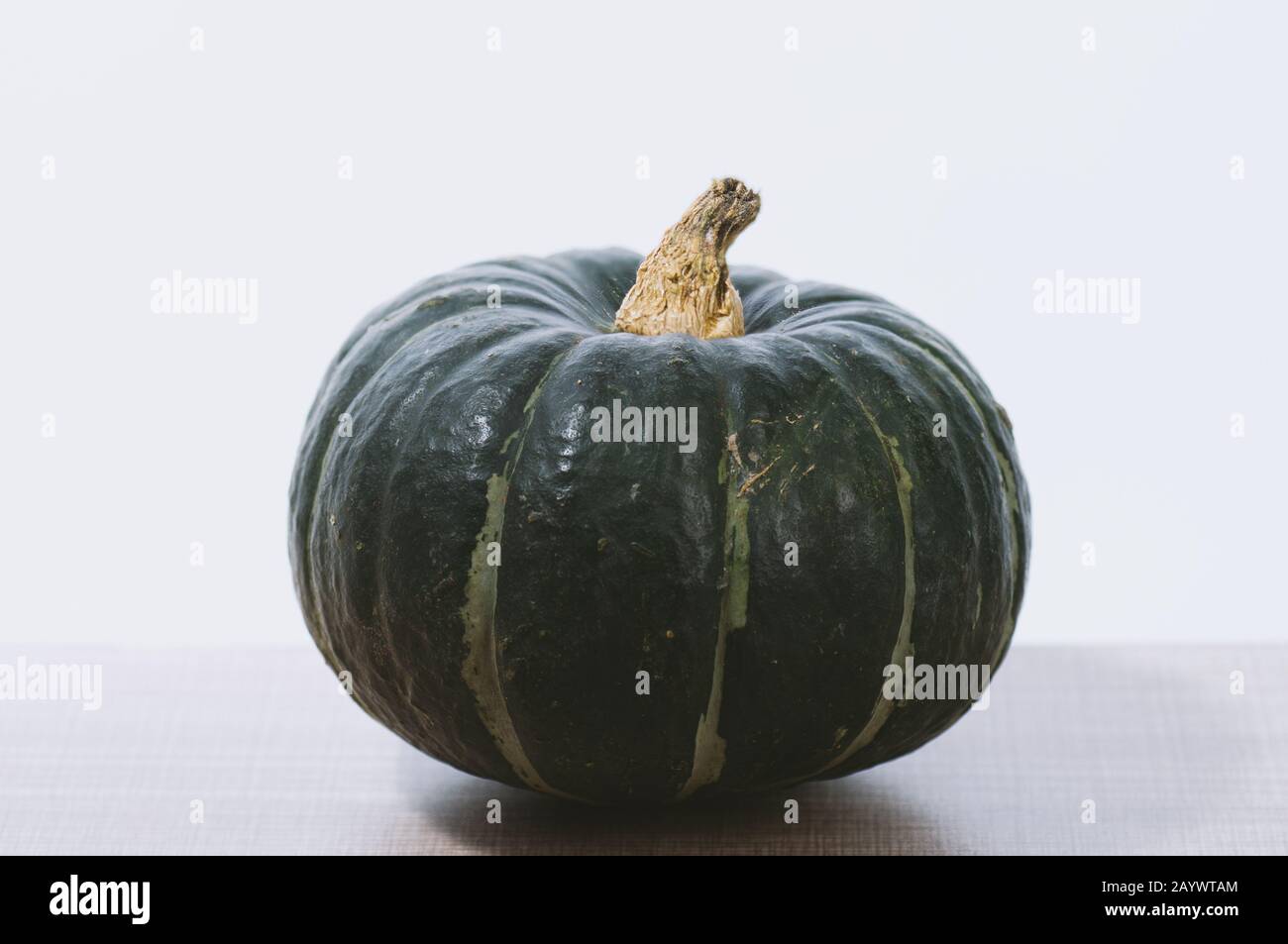 zucca di castagno in studio Foto Stock