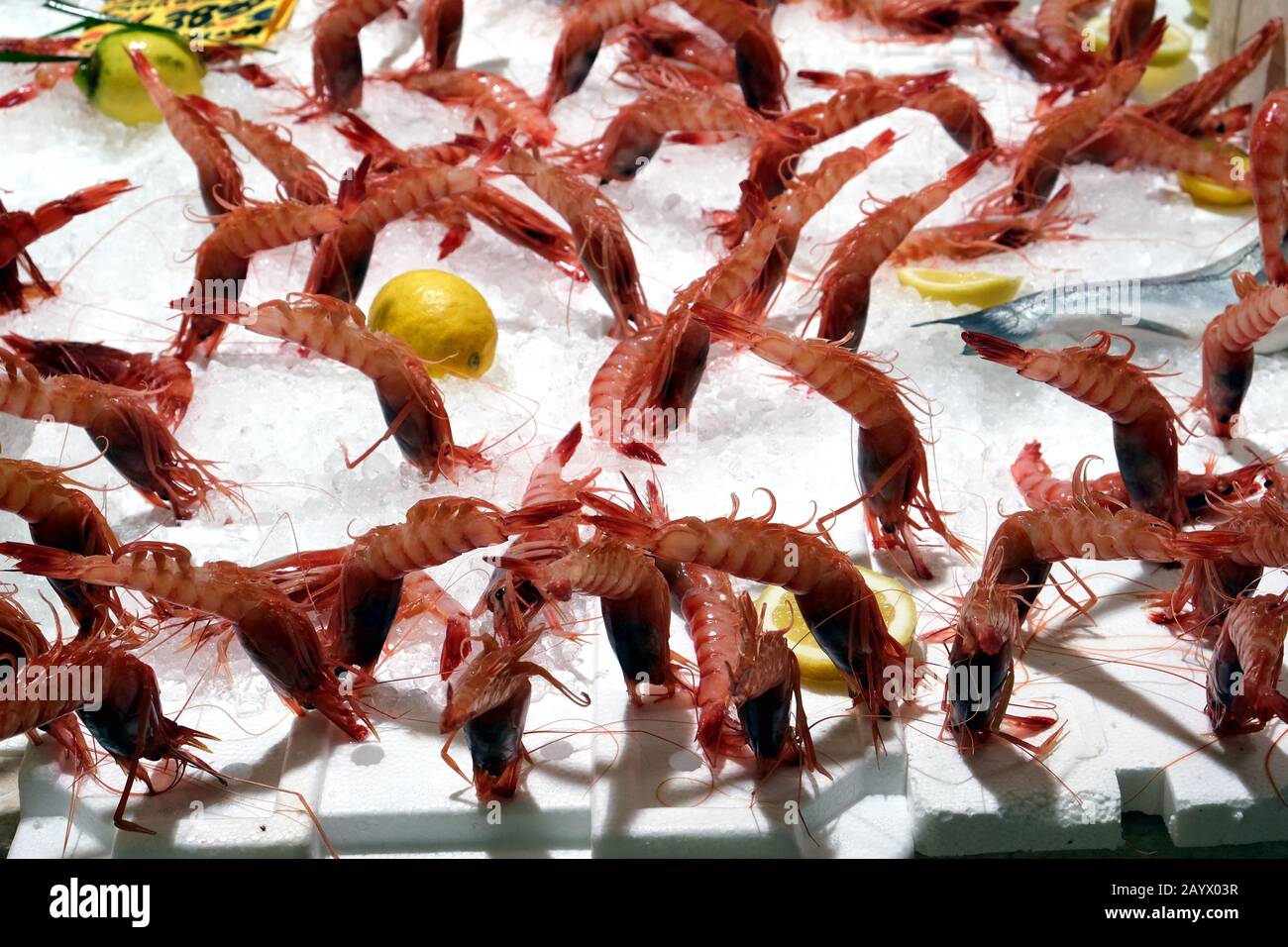 Composizione di gamberetti con limoni Foto Stock