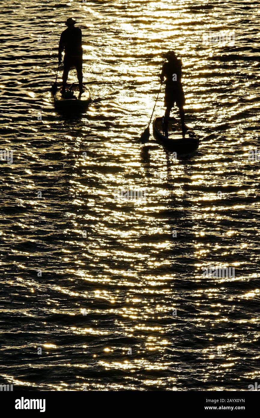 Paddle boarding sul lago Tempe Town. Foto Stock