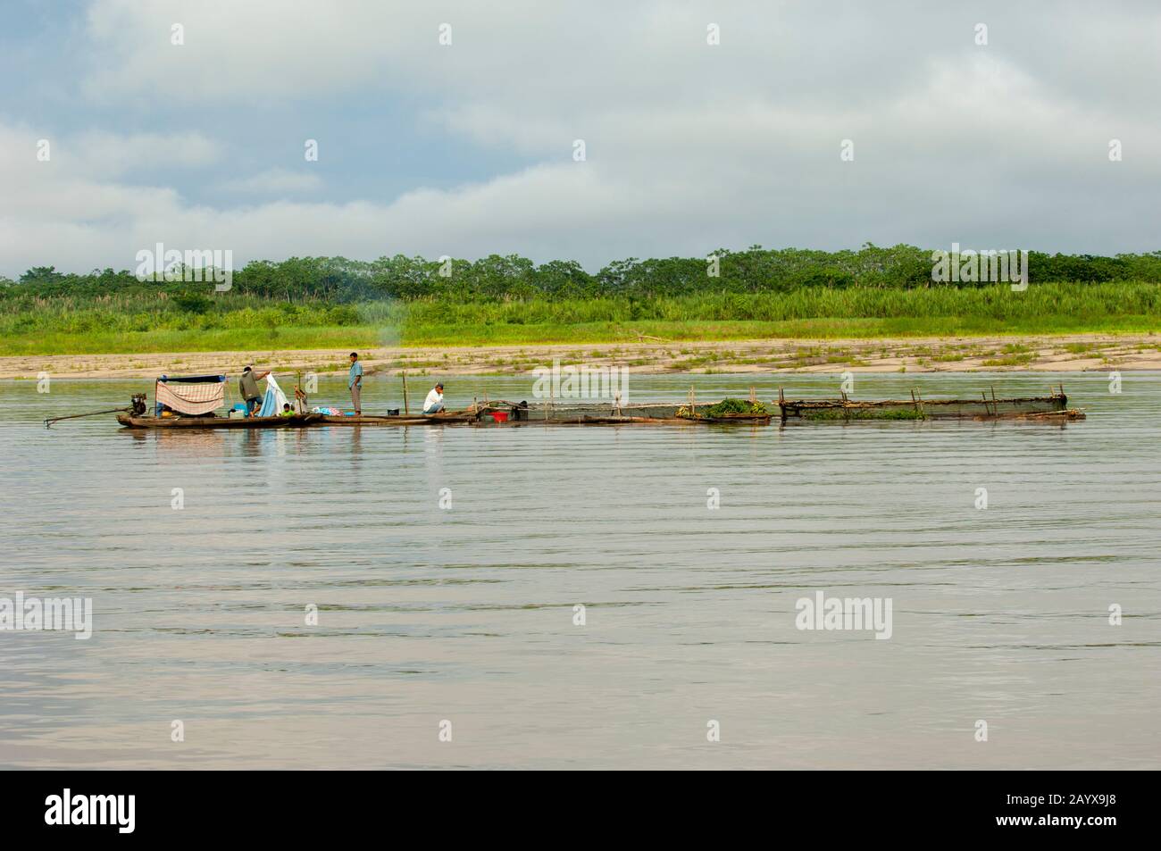 Persone che trasportano pesce vivo al mercato di Iquitos sul fiume Ucayali nel bacino peruviano del fiume Amazzonia. Foto Stock