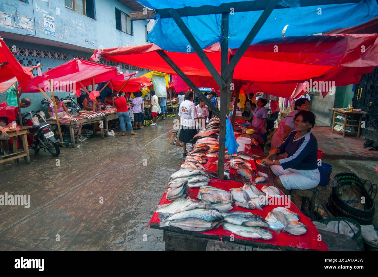 Pesce fresco in vendita sul mercato a Belem, Iquitos, una città sul fiume Amazzonia nel bacino peruviano del fiume Amazzonia. Foto Stock
