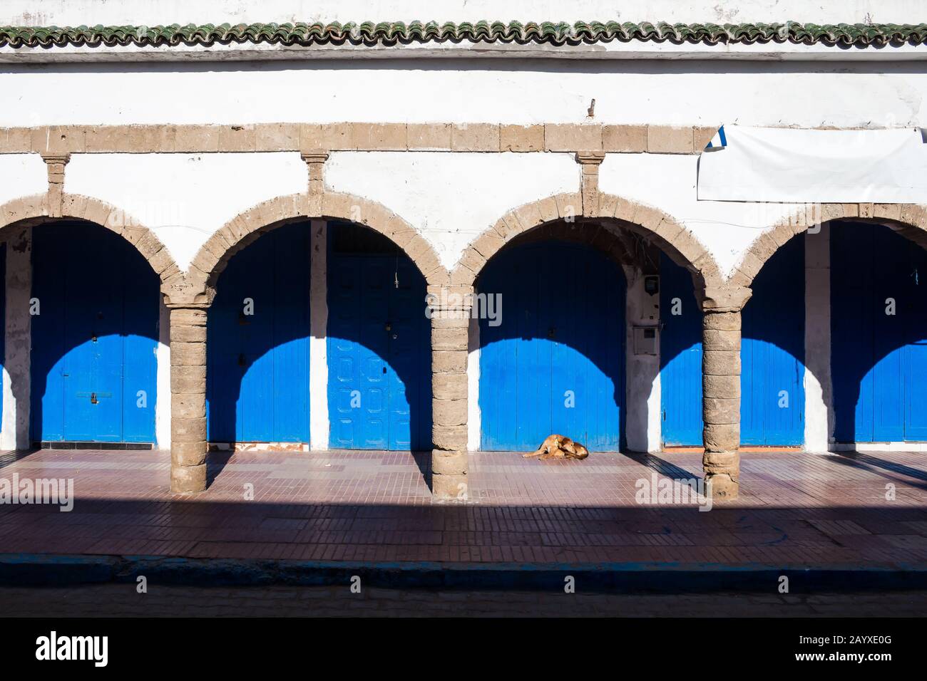 Facciata di un edificio con portici, che offre un'ombra nei giorni caldi. Chiuse porte di legno blu dei negozi, cane di fronte ad uno di loro. Essaouira Foto Stock
