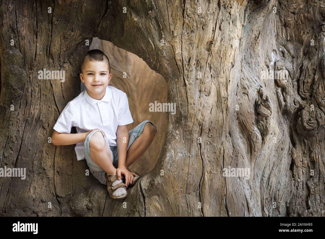 ragazzo seduto nell'albero Foto Stock
