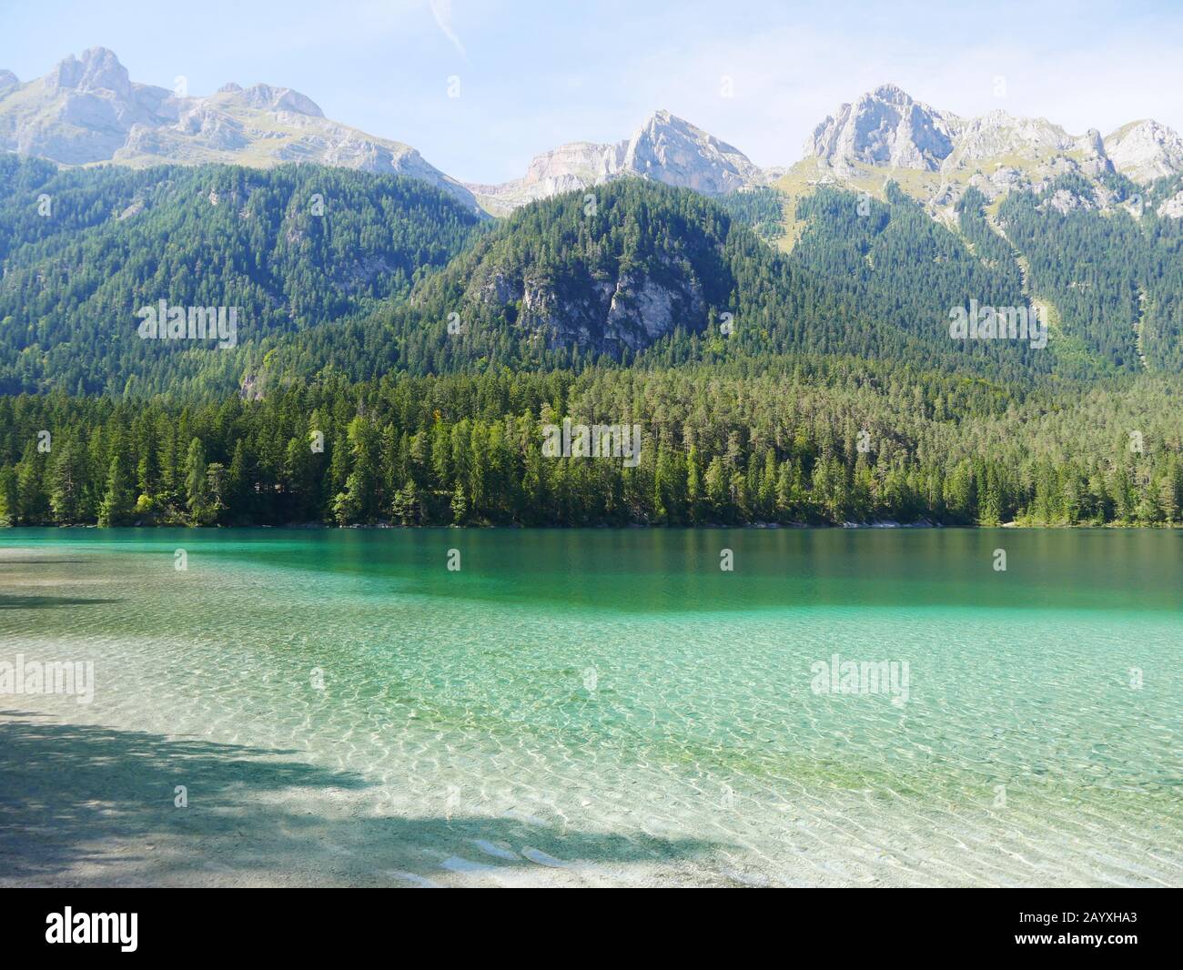 Lago Tovel, Italia: L'acqua cristallina di questo lago di montagna sembra caraibica Foto Stock
