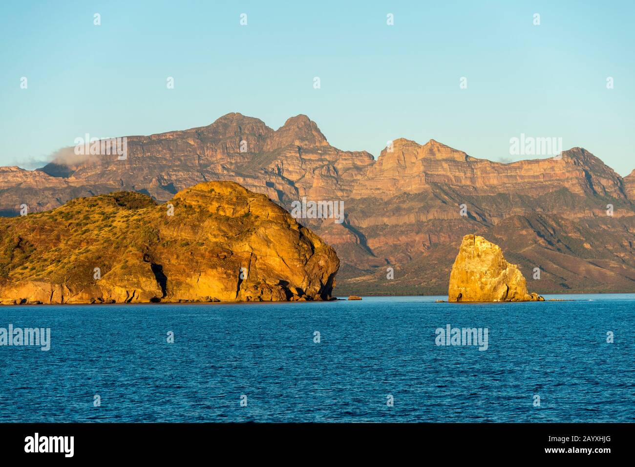 Luce mattutina all'alba sulla costa all'Aqua Verde vicino Loreto, Mare di Cortez in Baja California, Messico. Foto Stock