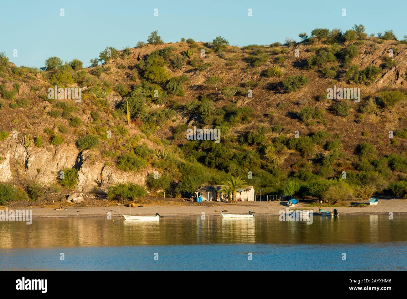 Mattina luce nella baia di Aqua Verde, un piccolo villaggio di pescatori vicino Loreto, Mare di Cortez in Baja California, Messico. Foto Stock