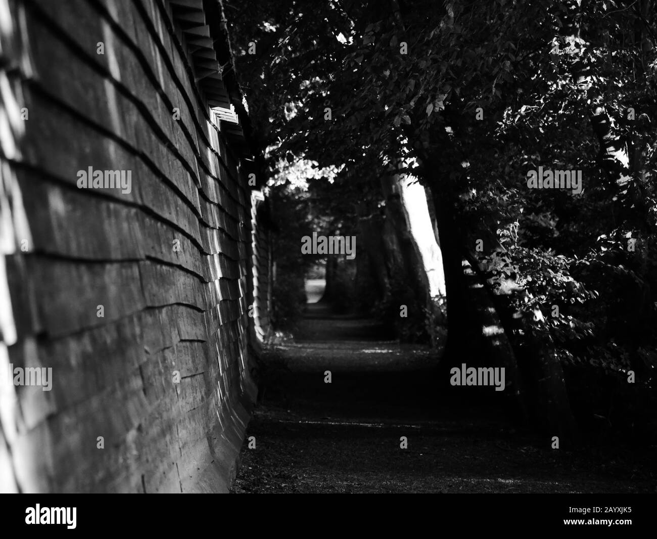 Laupheim, Germania: Sentiero presso la piscina locale Foto Stock