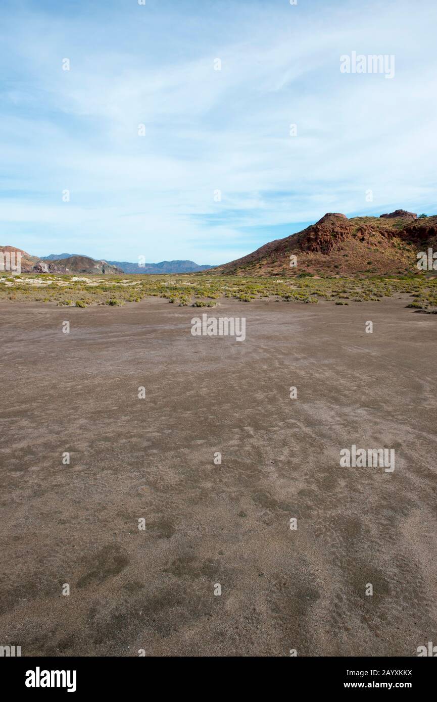 Salino sull'Isola di San Francisco nel Mare di Cortez in Baja California, Messico. Foto Stock