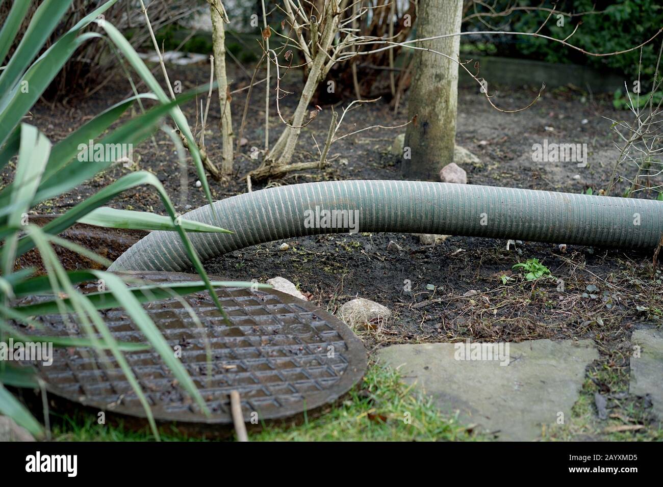 pompare serbatoi settici dal cortile serbatoio in campagna Foto Stock