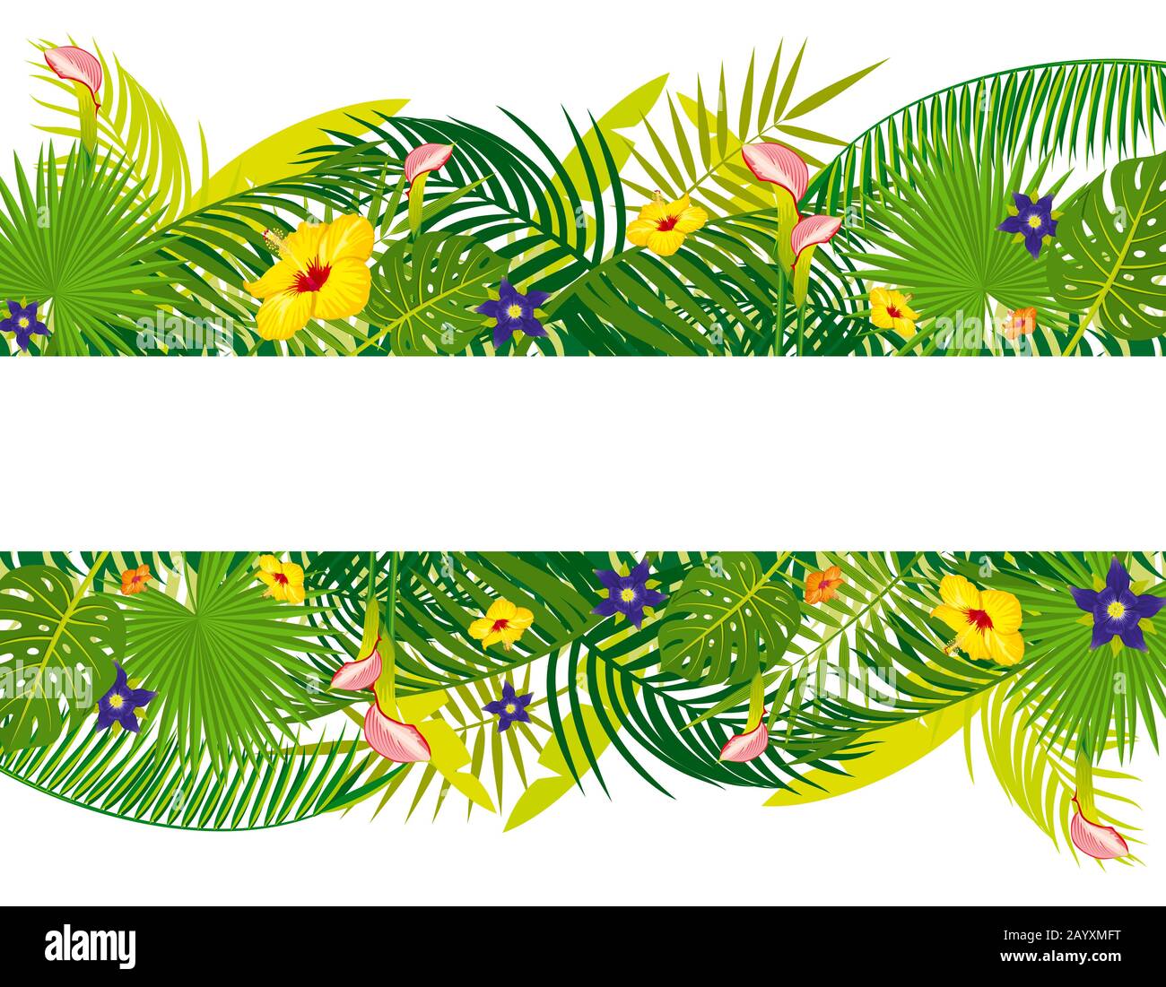 Bandiera vuota del vettore con fogliame floreale tropicale. Foglie floreali esotiche e fiori. Estate foglia tropicale di palma illustrazione Illustrazione Vettoriale