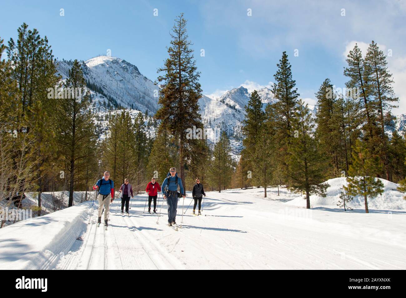 Persone sci di fondo sul sentiero Icicle River a Leavenworth, Eastern Washington state, USA. Foto Stock