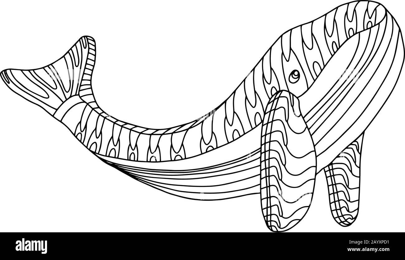 Whale in stile doodle disegnato a mano isolato su sfondo bianco. Libro da colorare per adulti e bambini. Illustrazione del contorno dello stock vettoriale. Animale oceano. Illustrazione Vettoriale