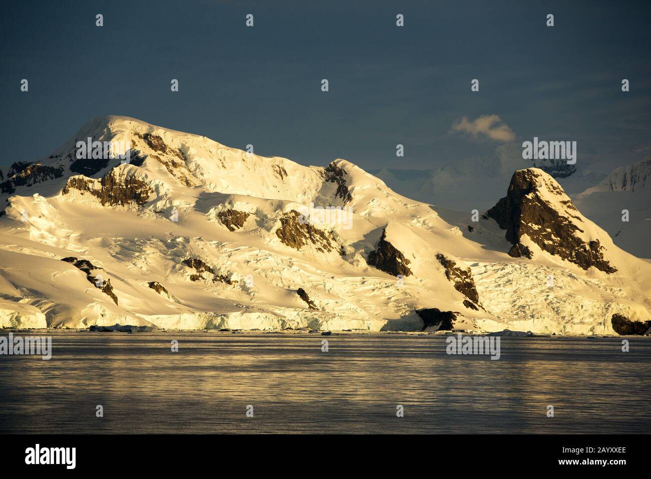 Scenario antartico sul Palmer Acitaride sulla Penisola Antartica Foto Stock