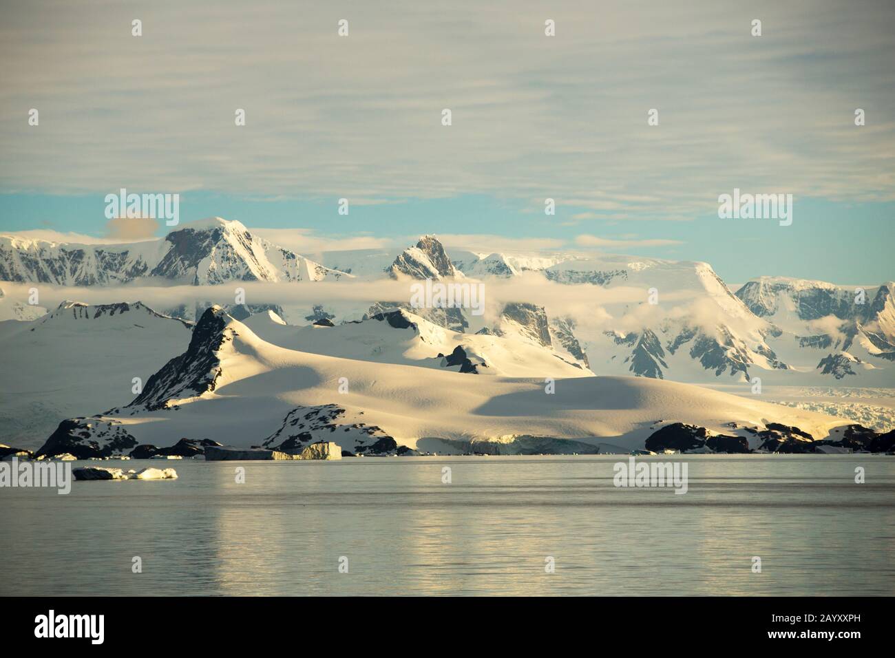Scenario antartico sul Palmer Acitaride sulla Penisola Antartica Foto Stock