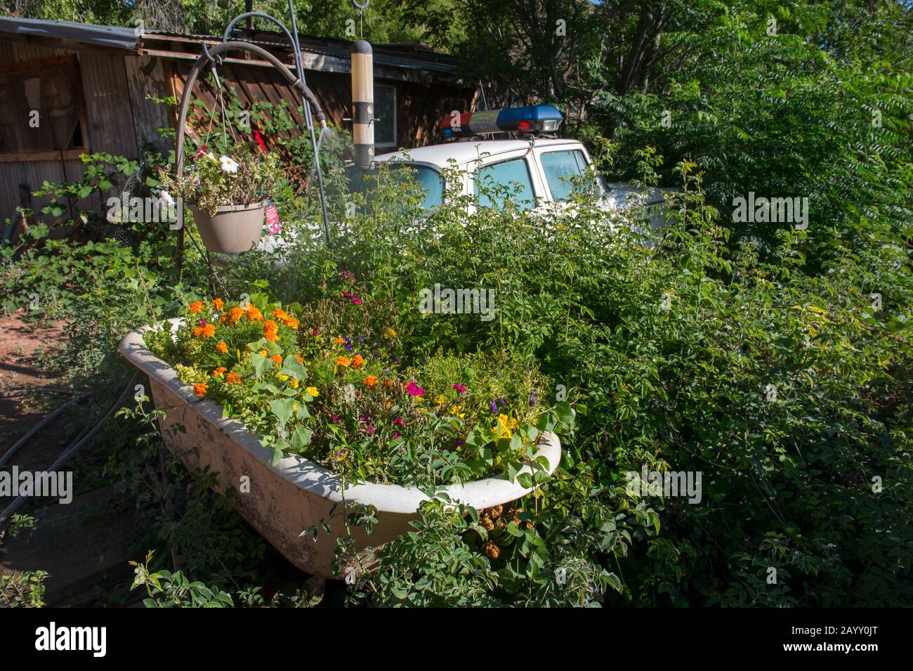 Una vasca da bagno piantata di fiori e un'auto di polizia d'epoca nei cespugli presso la storica Gold King Mine e la Ghost Town, a partire dal 1890, all'esterno di Jerome Foto Stock