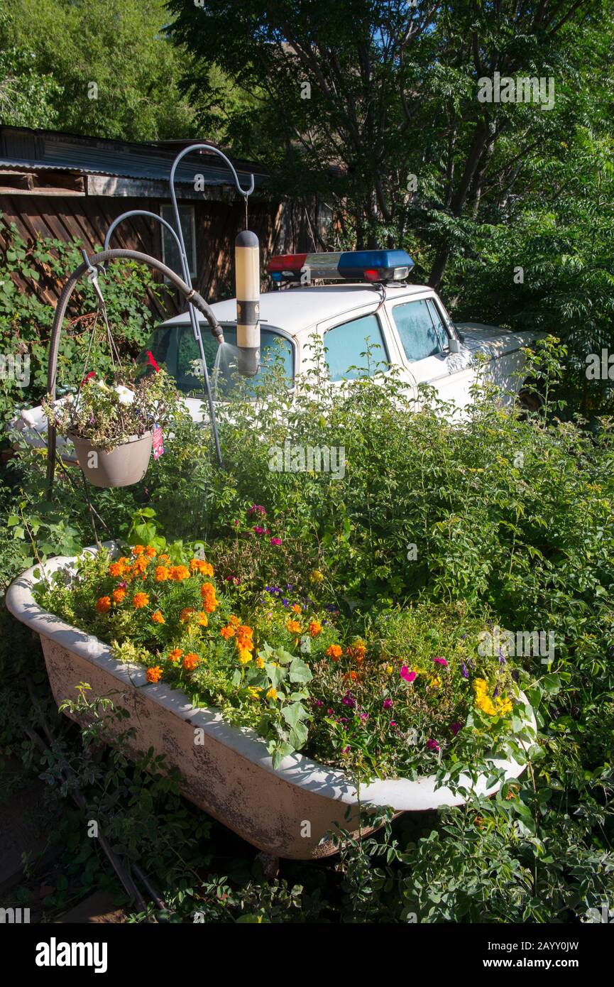 Una vasca da bagno piantata di fiori e un'auto di polizia d'epoca nei cespugli presso la storica Gold King Mine e la Ghost Town, a partire dal 1890, all'esterno di Jerome Foto Stock