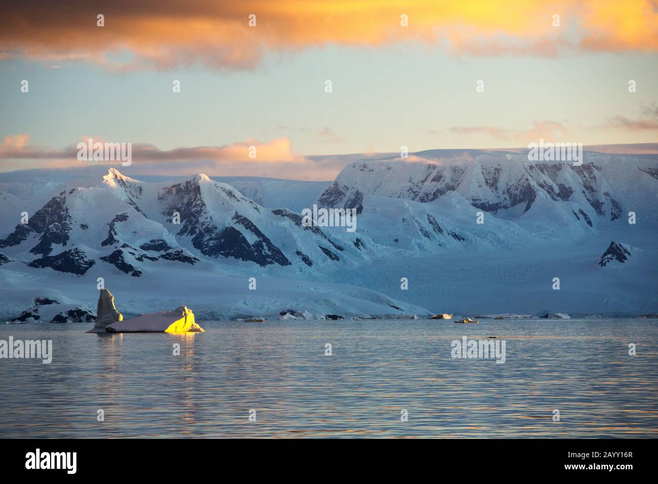 Scenario antartico al largo del Palmer Ackipitar sulla penisola antartica al tramonto. Foto Stock