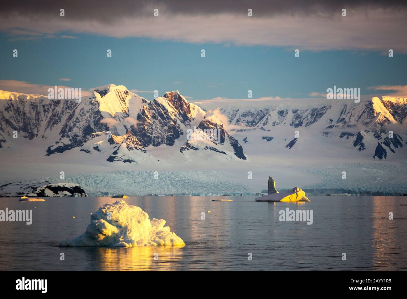 Scenario antartico al largo del Palmer Ackipitar sulla penisola antartica al tramonto. Foto Stock
