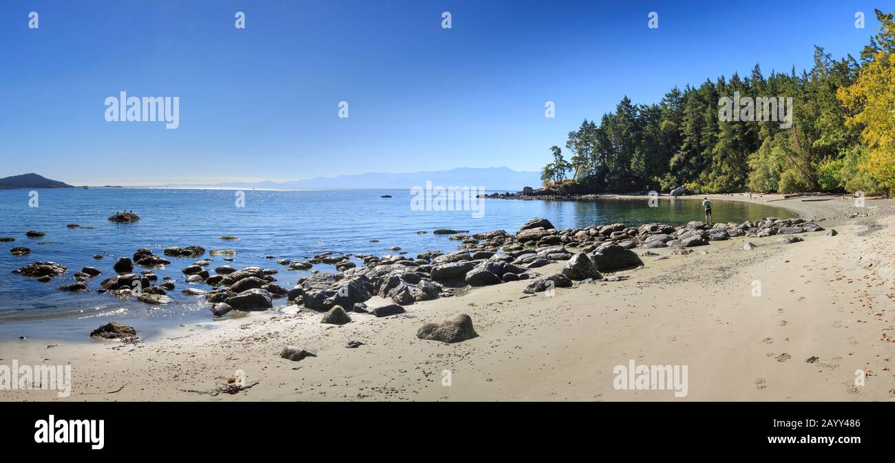 East Sooke Regional Park, Sooke, Vancouver Island, British Columbia, Canada. Foto Stock