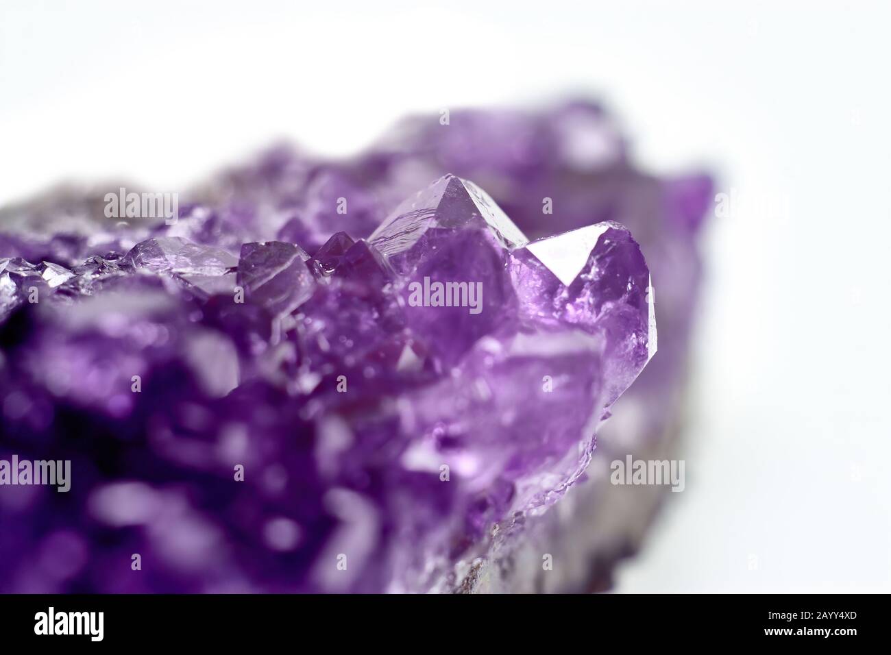 Cristalli di Ametista geode isolato su sfondo bianco. Foto di scorta Foto Stock