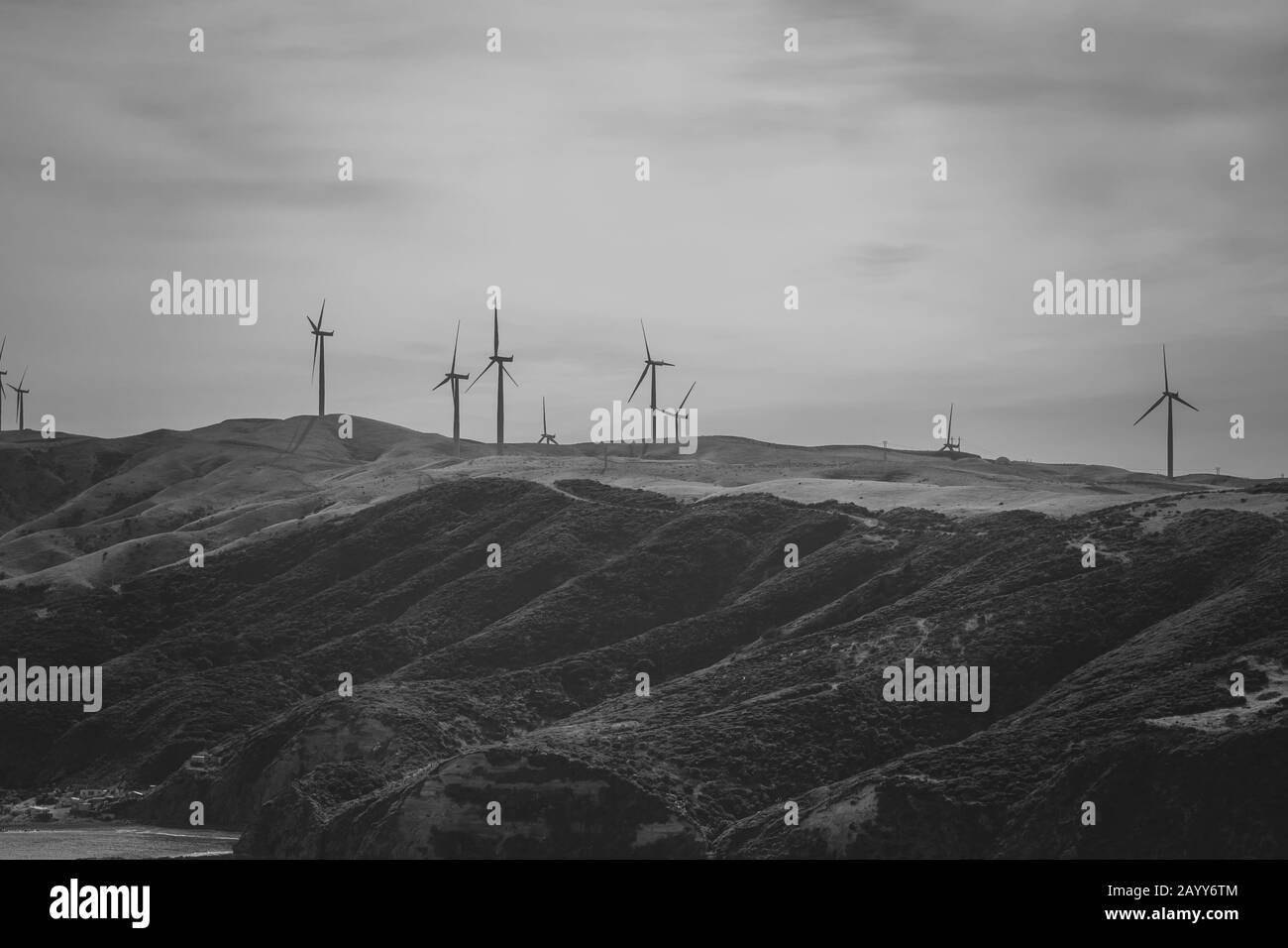 Paesaggio con turbina a vento agriturismo a Wellington, Nuova Zelanda Foto Stock
