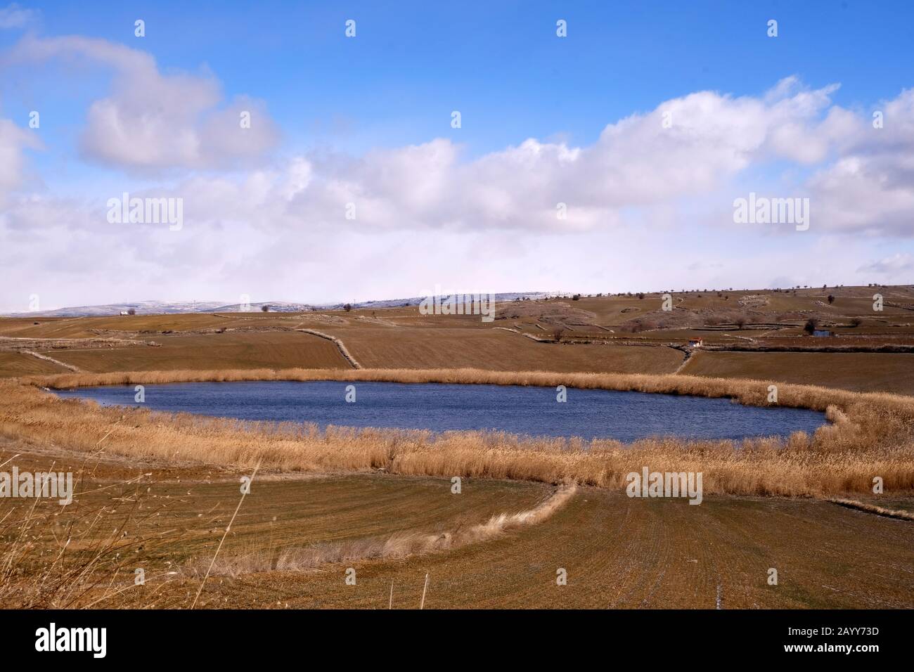 Un piccolo lago tra i campi agricoli di Çankırı Turchia Foto Stock