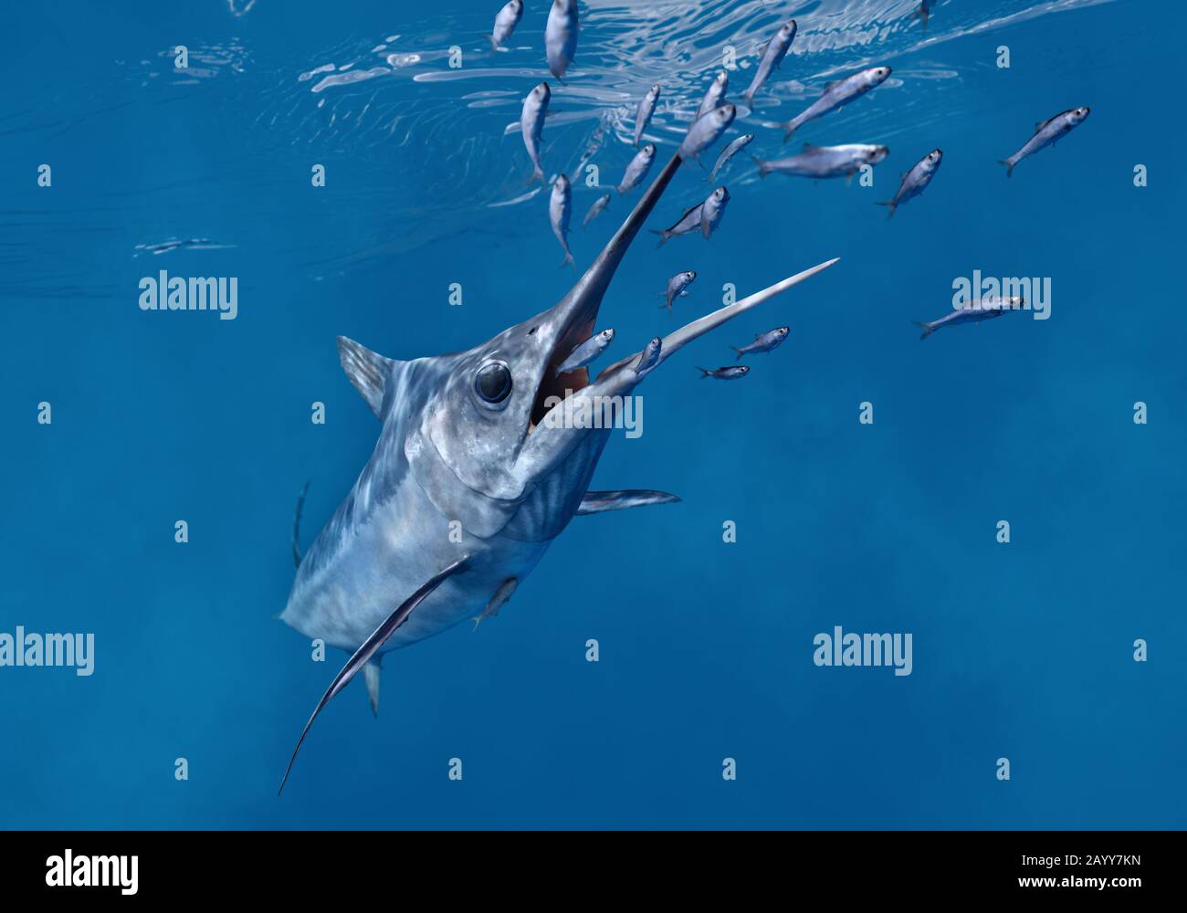 Illustrazione di Xifiorhynchus, un genere estinto di pesce spada preistorico che visse dall'Eocene fino al Miocene. Foto Stock