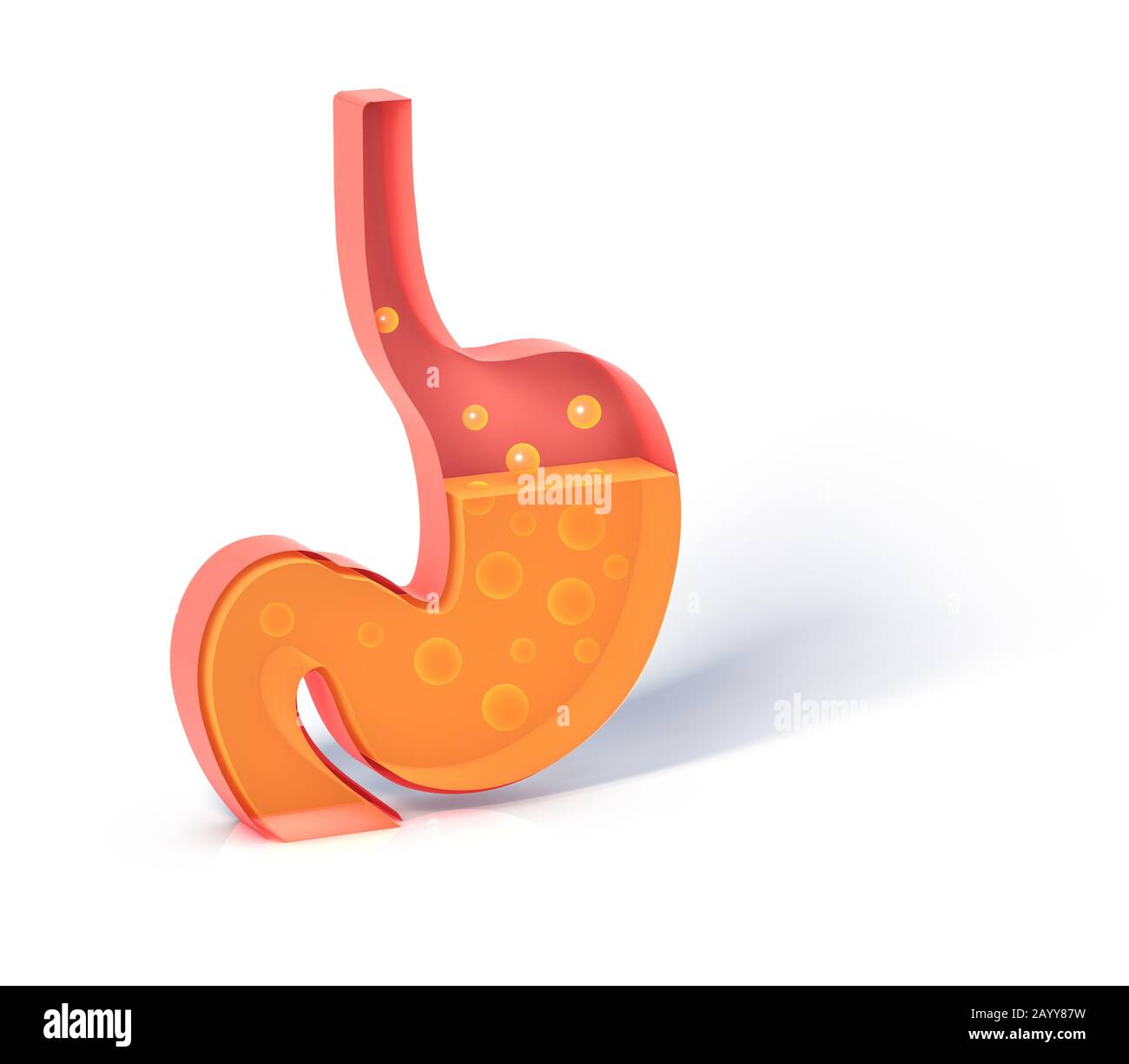 3D illustrazione dello stomaco che mostra l'interno che fa la digestione con i gas. Rappresentazione piatta con volume vuoto, silhouette isolata. Foto Stock