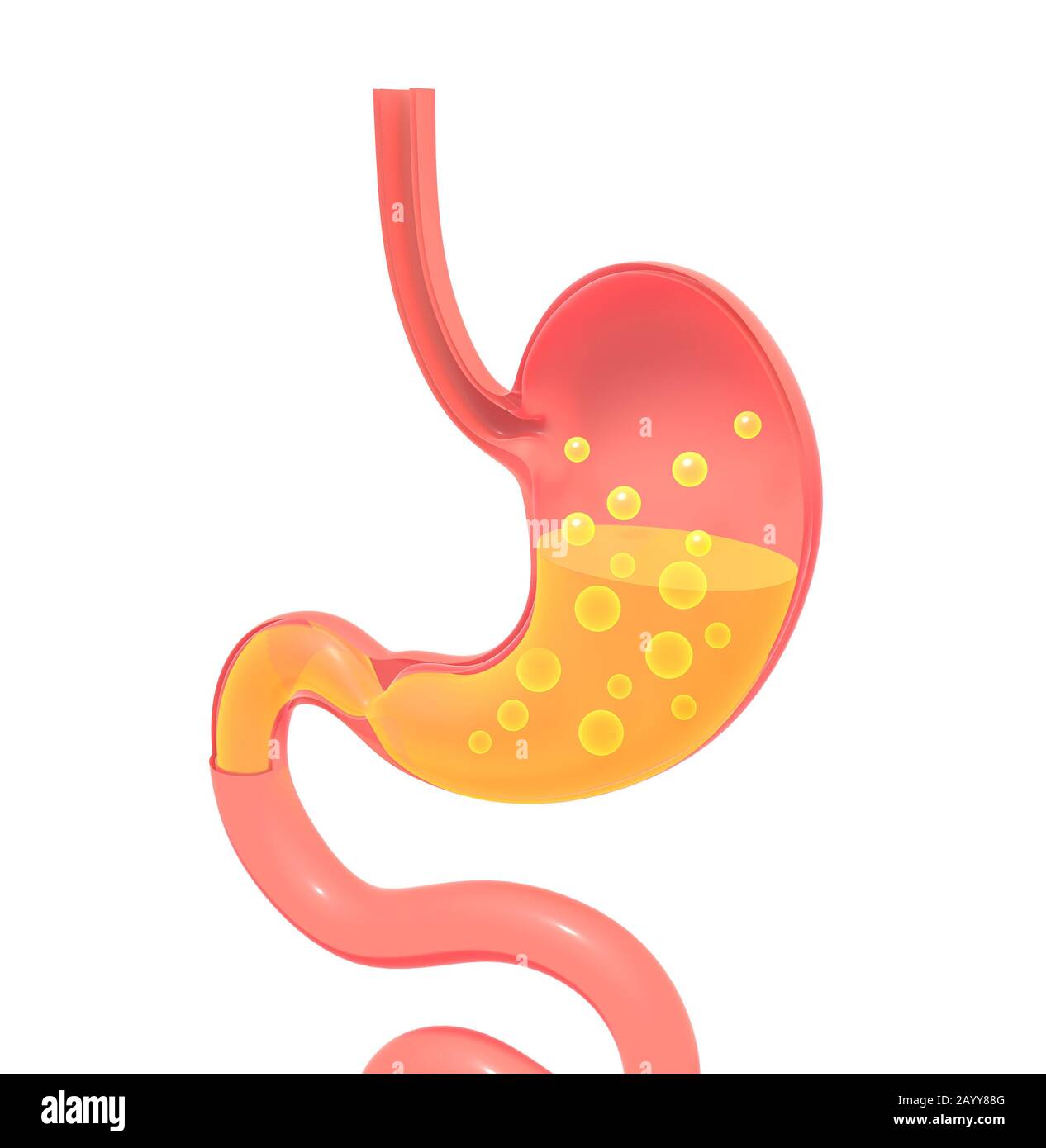 3D illustrazione dello stomaco che mostra l'interno che fa la digestione con i gas. Rappresentazione piatta con volume vuoto, silhouette isolata. Foto Stock