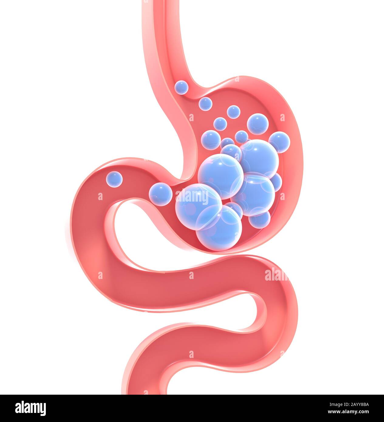 3D illustrazione dello schema interno dello stomaco umano con gas. Figura piatta vuota, silhouette isolata su sfondo bianco con colori vivaci Foto Stock