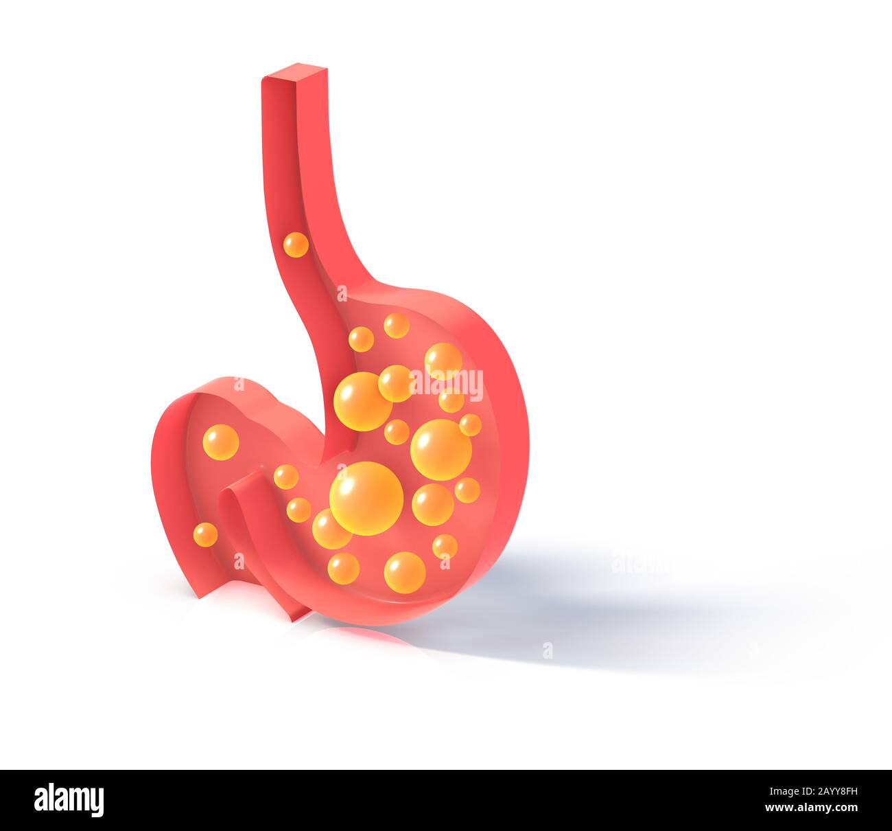 Figura 3D dello schema interno dello stomaco con gas. Isolato appartamento figura appoggiato al pavimento su sfondo bianco con ombra. Foto Stock