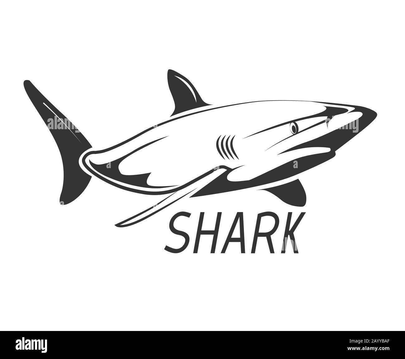 Logo Shark in nero isolato su bianco. Disegno grafico animale selvatico, illustrazione vettoriale Illustrazione Vettoriale