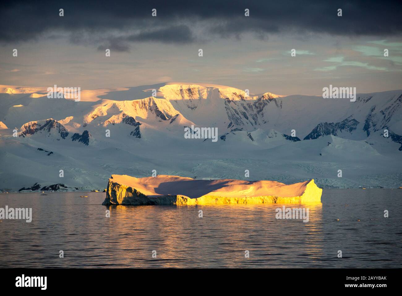 Scenario antartico al largo del Palmer Ackipitar sulla penisola antartica al tramonto. Foto Stock