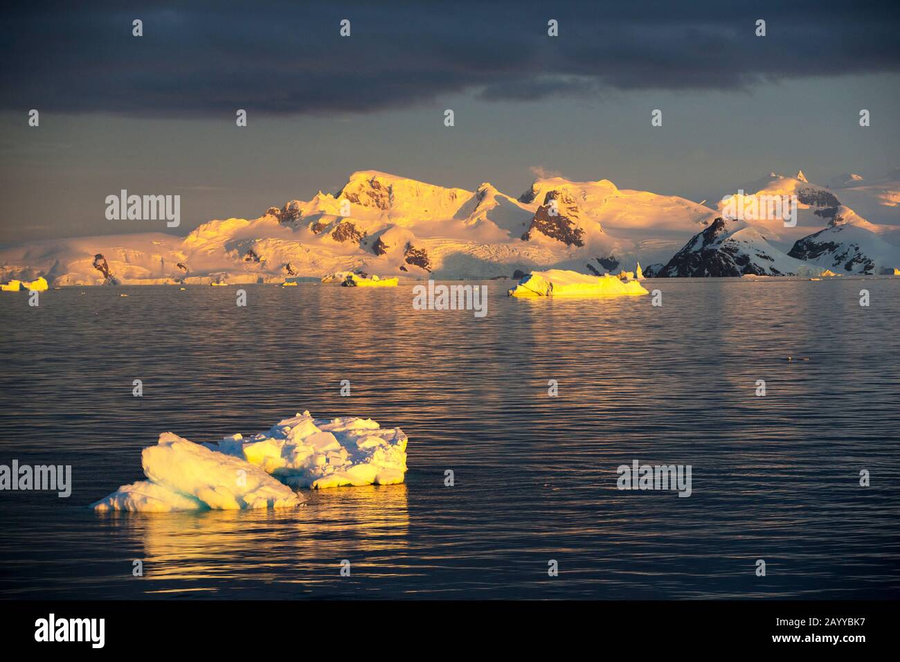 Scenario antartico al largo del Palmer Ackipitar sulla penisola antartica al tramonto. Foto Stock