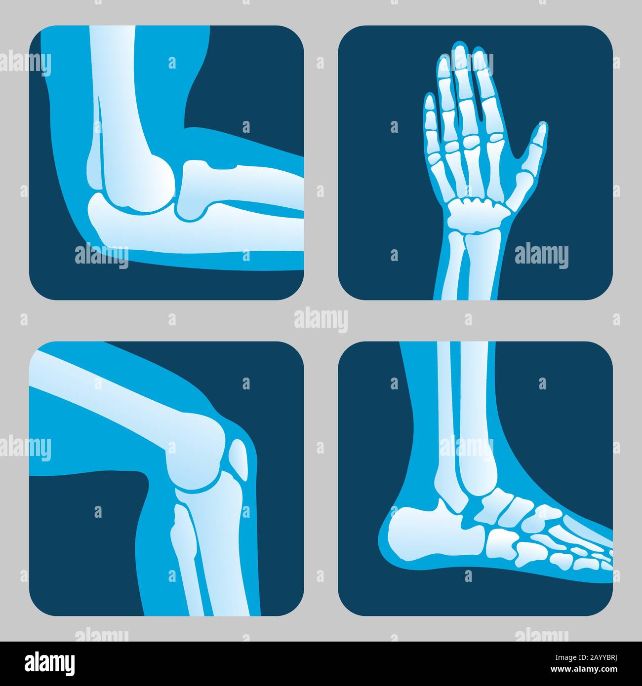 Articolazioni umane, articolazione del ginocchio, articolazione del gomito, articolazione della caviglia, polso. Vettore ortopedico medico di set. Anatomia giunto umano ortopedico e icona illustrazione gamba e giunto a mano Illustrazione Vettoriale