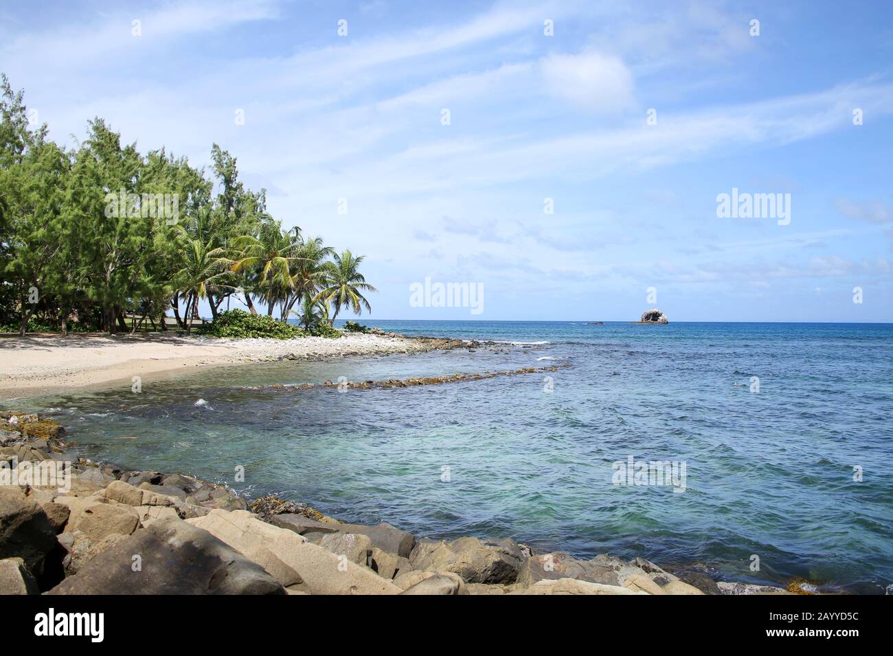 Bella spiaggia tropicale con palme, Gros Islet costa, St Lucia, dei Caraibi. Foto Stock